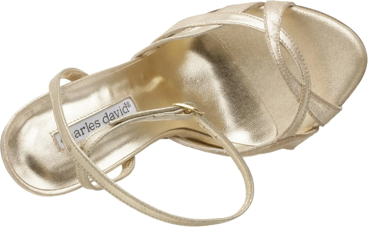 Charles David Women's Cascade Open Toe Sling
