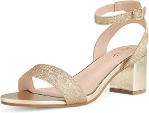DREAM PAIRS Women's Open Toe Ankle Strap Low Block Chunky Heels Sandals Party Dress Pumps Shoes