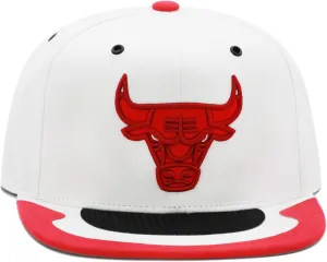 Mitchell & Ness Day 4 Chicago Bulls Snapback Hat
